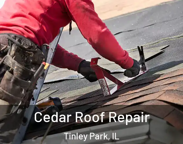  Cedar Roof Repair Tinley Park, IL