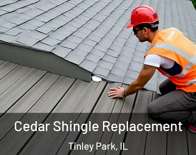  Cedar Shingle Replacement Tinley Park, IL