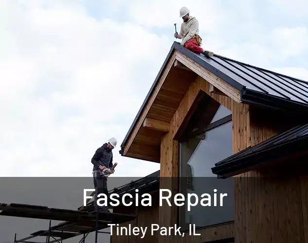  Fascia Repair Tinley Park, IL