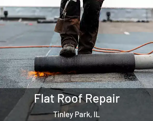  Flat Roof Repair Tinley Park, IL