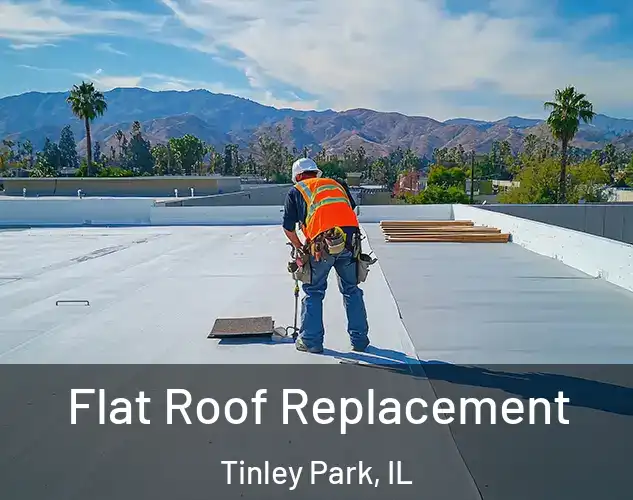  Flat Roof Replacement Tinley Park, IL
