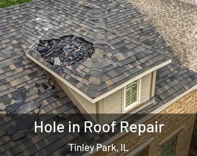  Hole in Roof Repair Tinley Park, IL