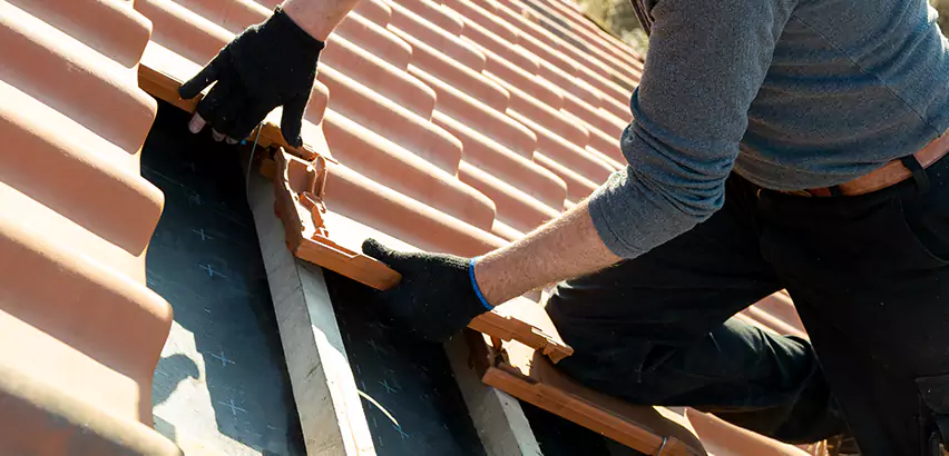 Professional Tile Roof Restoration Services in Tinley Park, IL