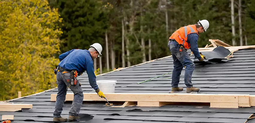 Garage Felt Roof Replacement in Tinley Park