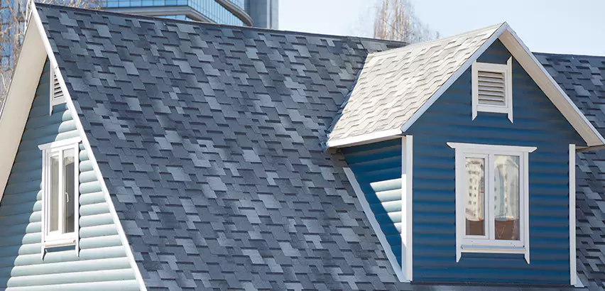 Shingle Roof Maintenance in Tinley Park