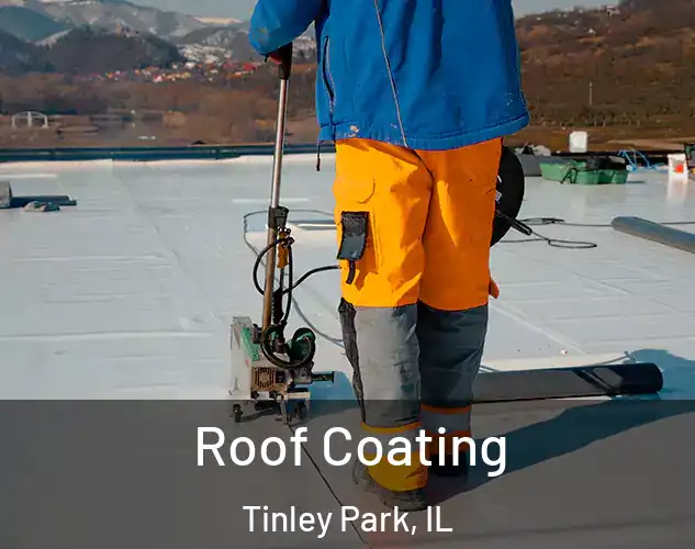  Roof Coating Tinley Park, IL
