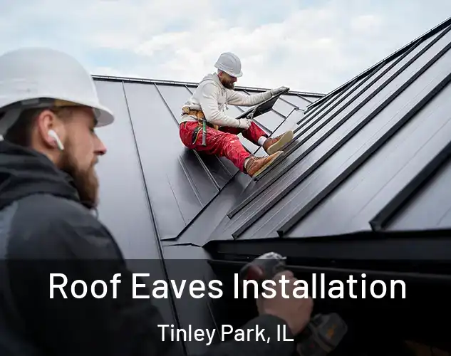  Roof Eaves Installation Tinley Park, IL