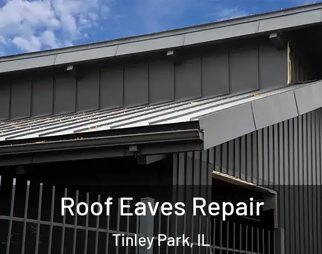  Roof Eaves Repair Tinley Park, IL