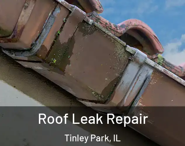  Roof Leak Repair Tinley Park, IL