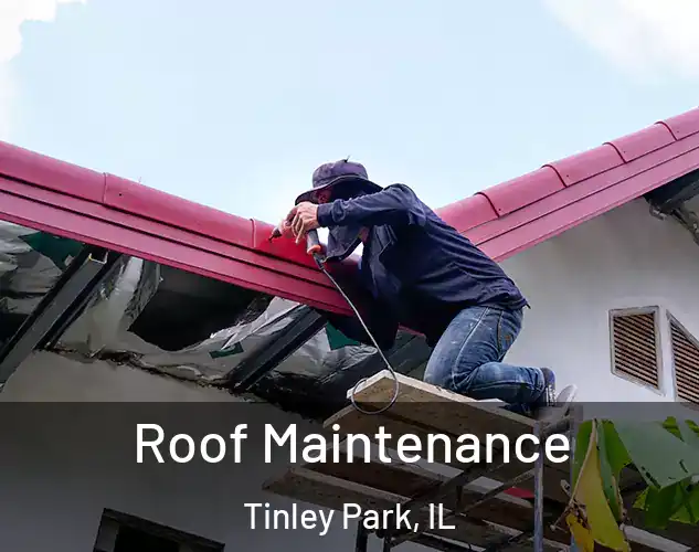  Roof Maintenance Tinley Park, IL