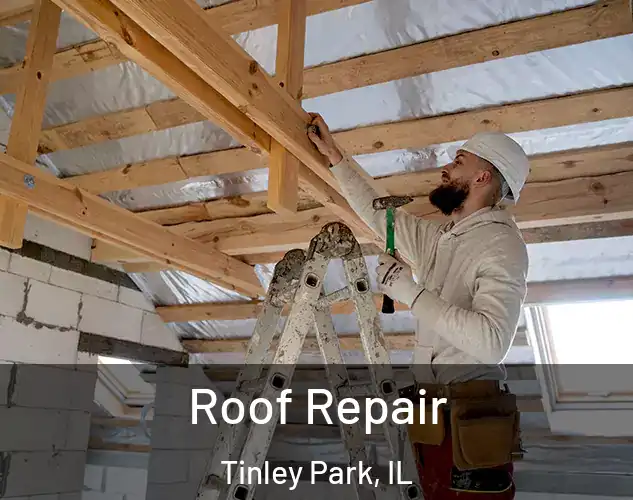  Roof Repair Tinley Park, IL