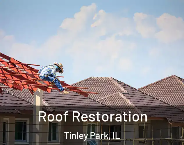  Roof Restoration Tinley Park, IL