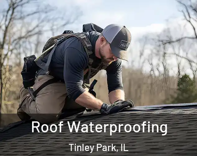  Roof Waterproofing Tinley Park, IL