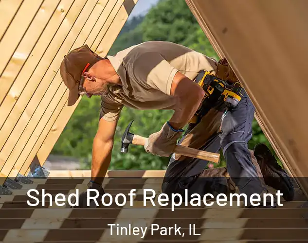  Shed Roof Replacement Tinley Park, IL