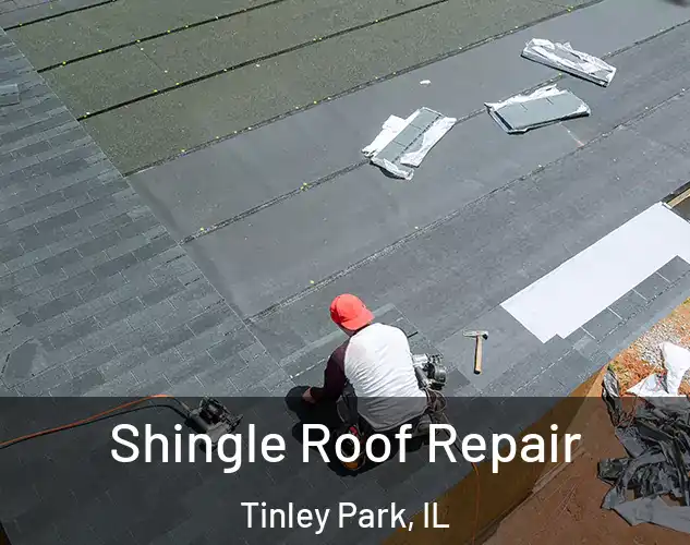  Shingle Roof Repair Tinley Park, IL