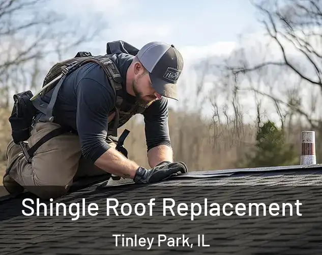  Shingle Roof Replacement Tinley Park, IL