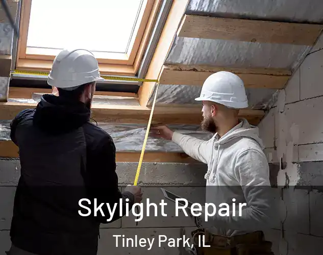  Skylight Repair Tinley Park, IL