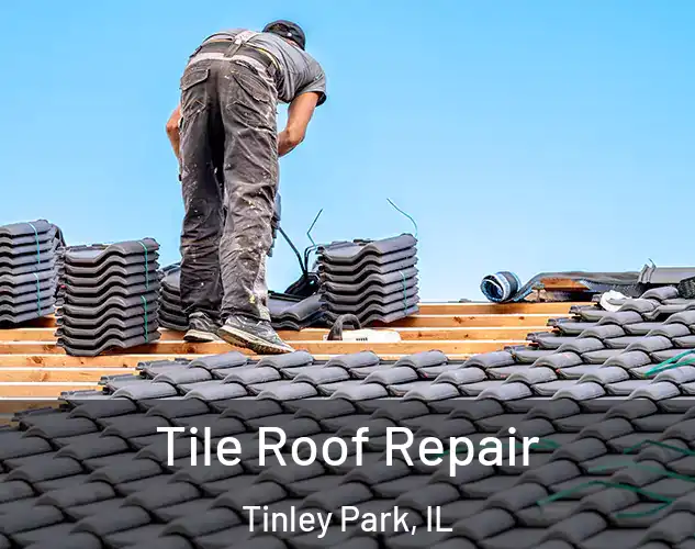  Tile Roof Repair Tinley Park, IL
