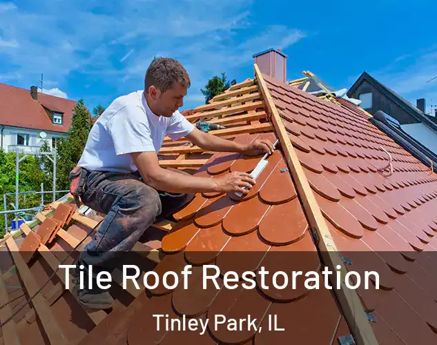  Tile Roof Restoration Tinley Park, IL